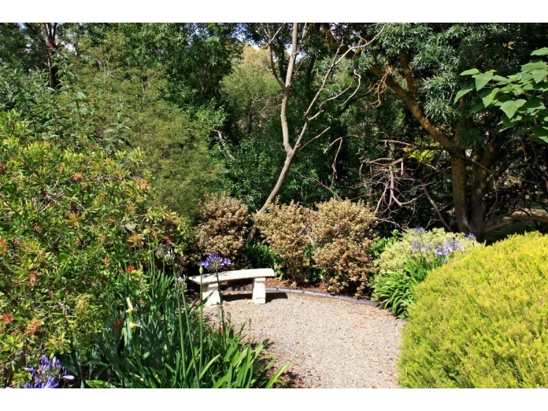 4 McKenzie Street, Coromandel Valley SA 5051