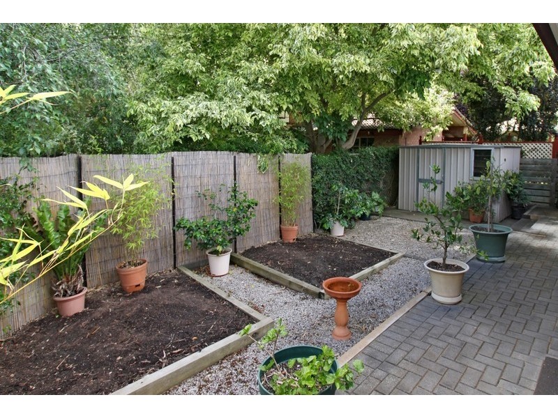 4 McKenzie Street, Coromandel Valley SA 5051