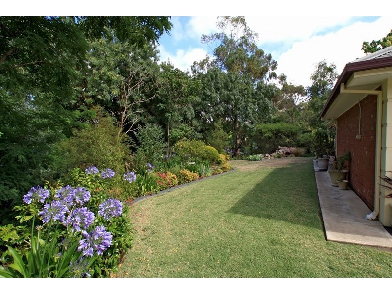 4 McKenzie Street, Coromandel Valley SA 5051