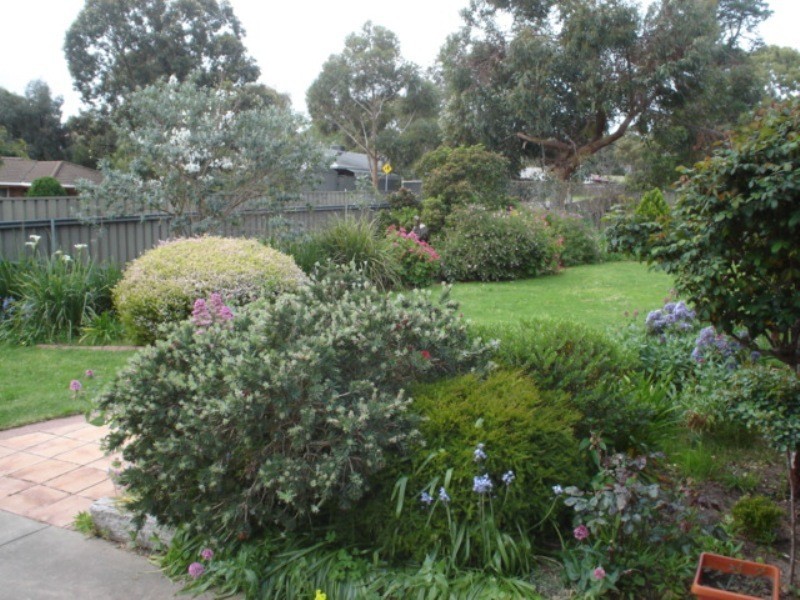 50 Windebanks Road, Happy Valley SA 5159