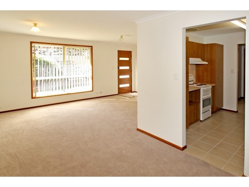 6 Portia Street, Flagstaff Hill SA 5159