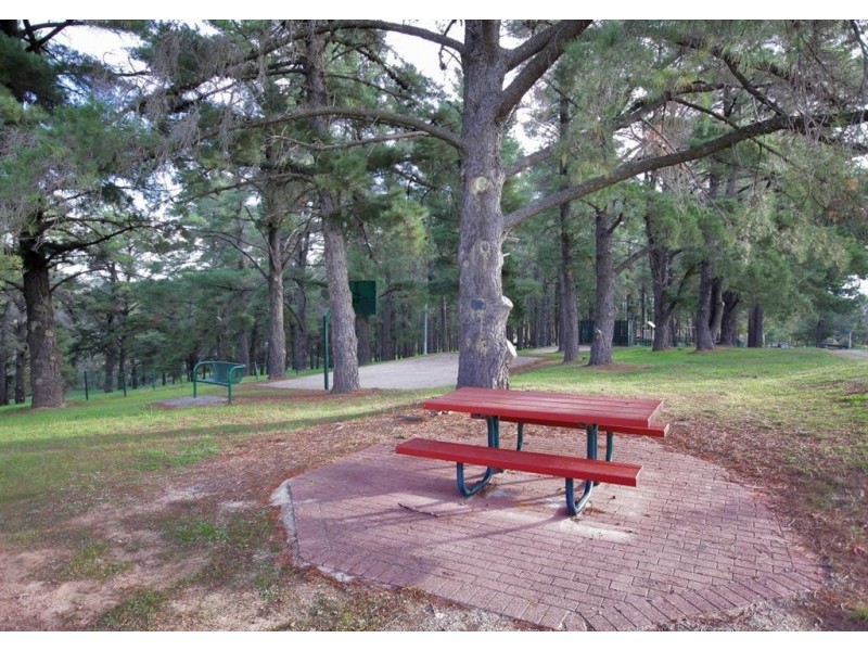 57 Pine Drive, Aberfoyle Park SA 5159