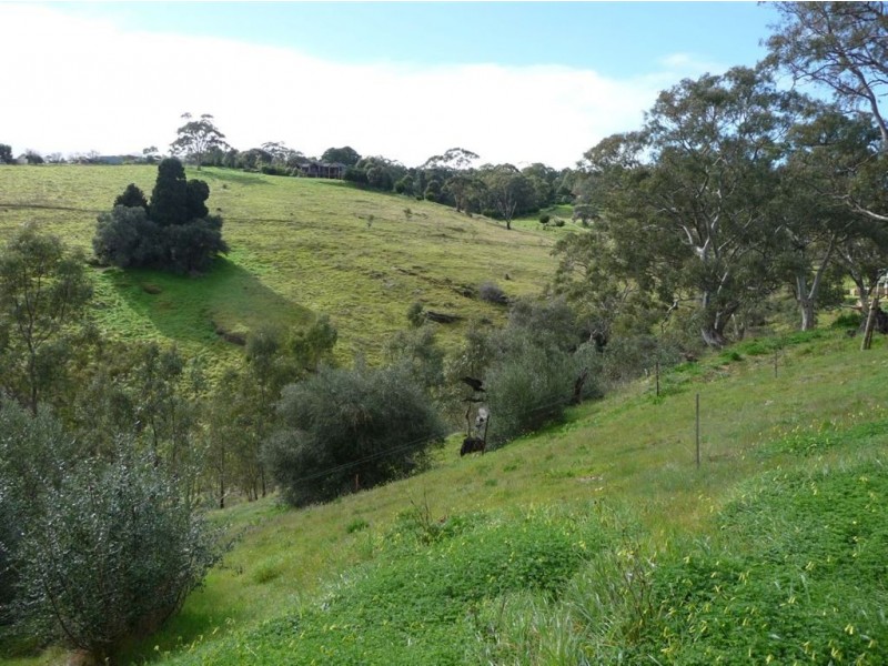 Lt 45 (10) Coast View Court, Chandlers Hill SA 5159