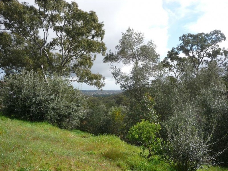 Lt 45 (10) Coast View Court, Chandlers Hill SA 5159