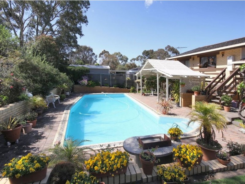 6 Chelsea Avenue, Flagstaff Hill SA 5159