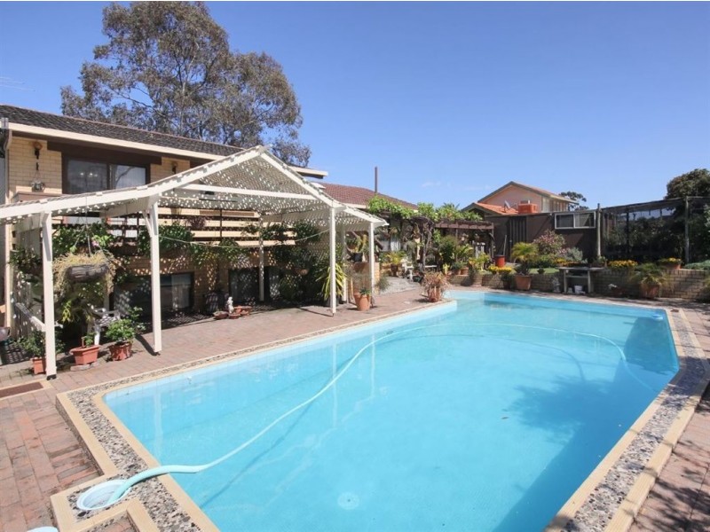 6 Chelsea Avenue, Flagstaff Hill SA 5159