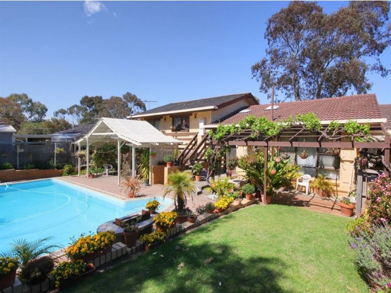 6 Chelsea Avenue, Flagstaff Hill SA 5159
