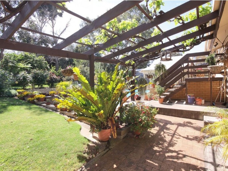 6 Chelsea Avenue, Flagstaff Hill SA 5159