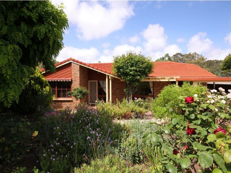 6 Lexcen Grove, Happy Valley SA 5159