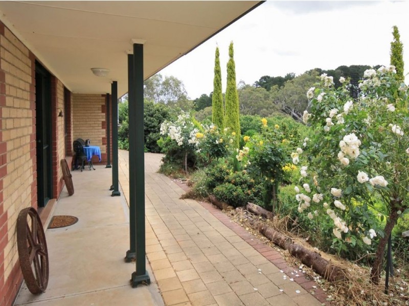 8 Peppermint Grove, Aberfoyle Park SA 5159