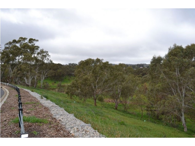 Lot 178 Highfield Drive, Craigburn Farm SA 5051