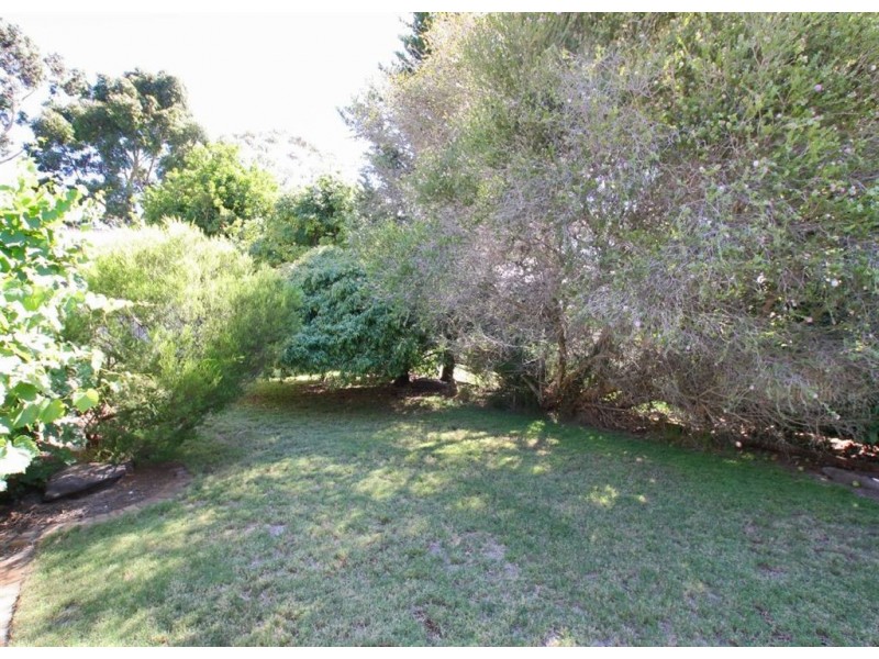 20 Medina Street, Aberfoyle Park SA 5159