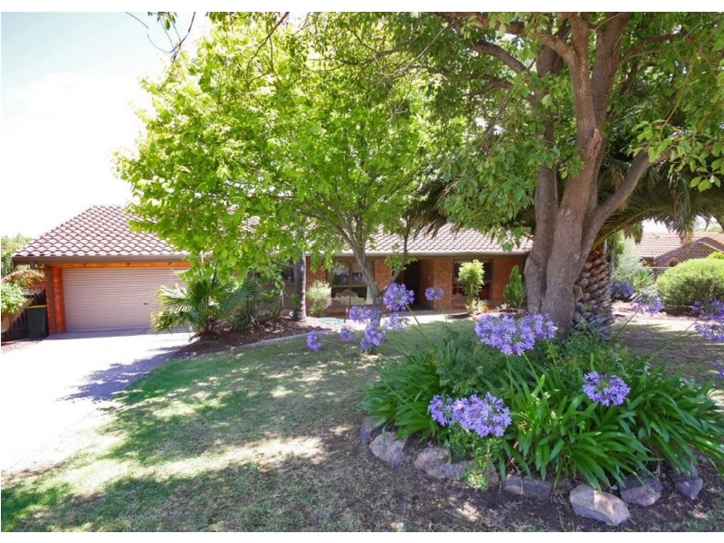62 Skyline Drive, Flagstaff Hill SA 5159