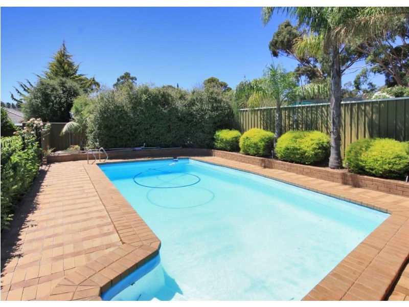 16 Balara Crescent, Flagstaff Hill SA 5159