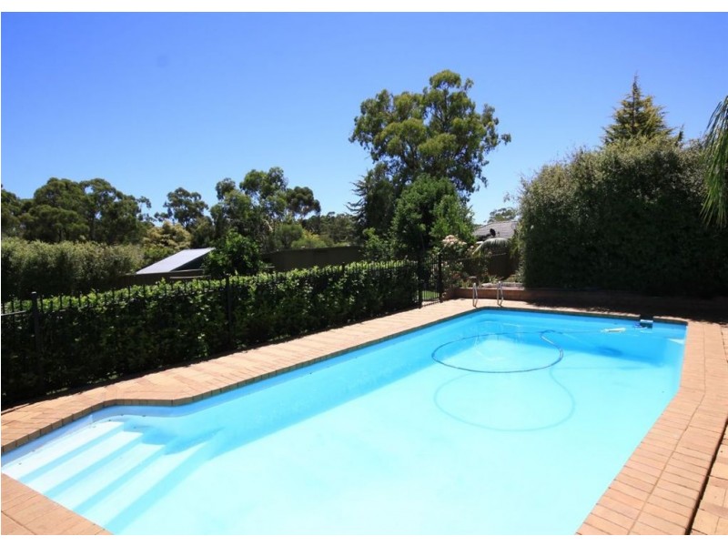 16 Balara Crescent, Flagstaff Hill SA 5159