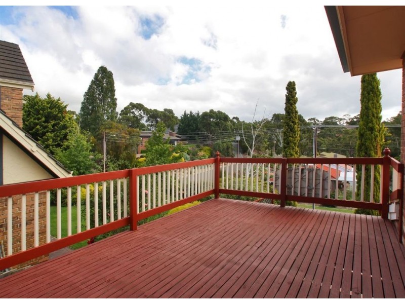 17 Bluebell Court, Flagstaff Hill SA 5159