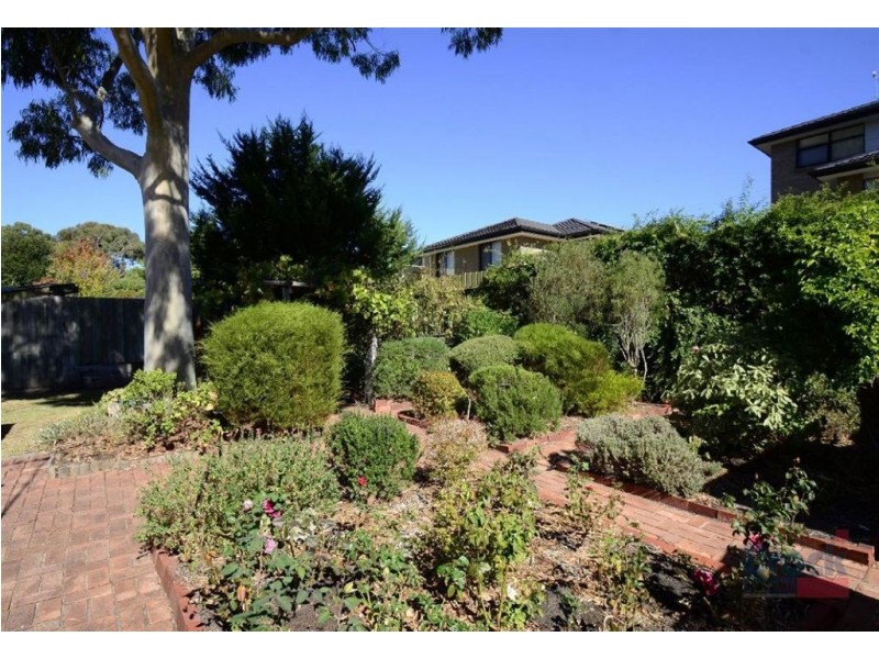 54 Bellaview Road, Flagstaff Hill SA 5159