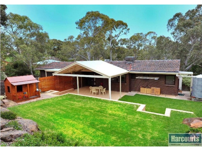 19 Renwick Street, Flagstaff Hill SA 5159