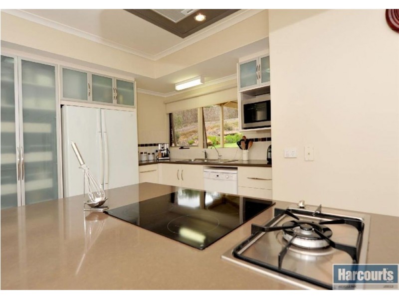 19 Renwick Street, Flagstaff Hill SA 5159