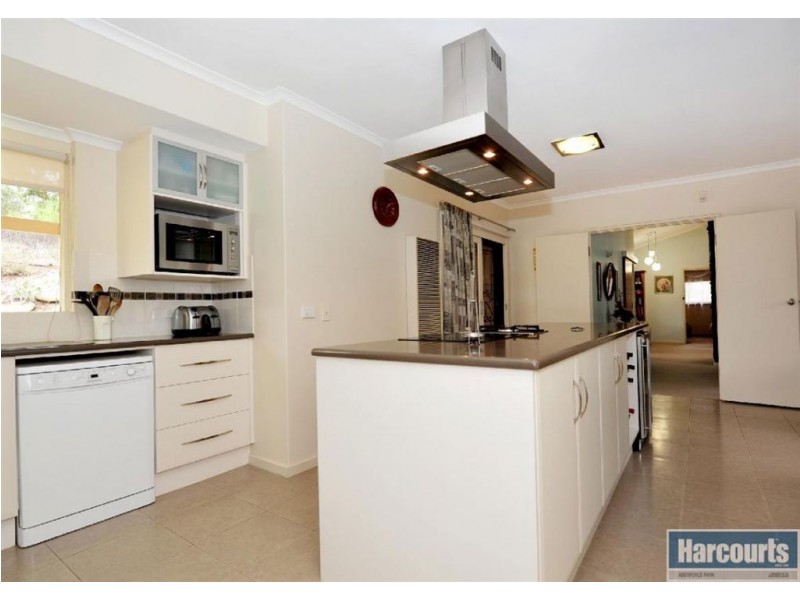 19 Renwick Street, Flagstaff Hill SA 5159