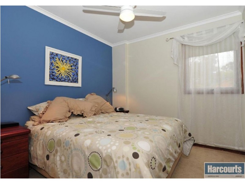 19 Renwick Street, Flagstaff Hill SA 5159