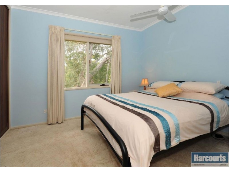 19 Renwick Street, Flagstaff Hill SA 5159