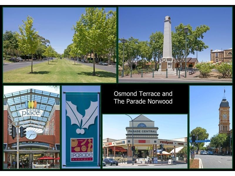 Unit 6B, 58 William Street, Norwood SA 5067