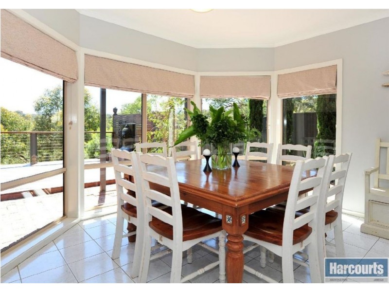 99 Glendale Avenue, Flagstaff Hill SA 5159