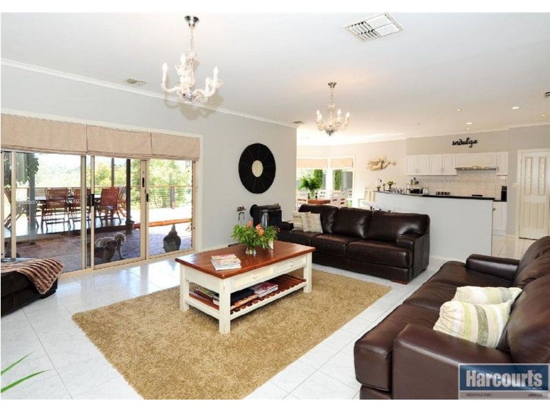 99 Glendale Avenue, Flagstaff Hill SA 5159