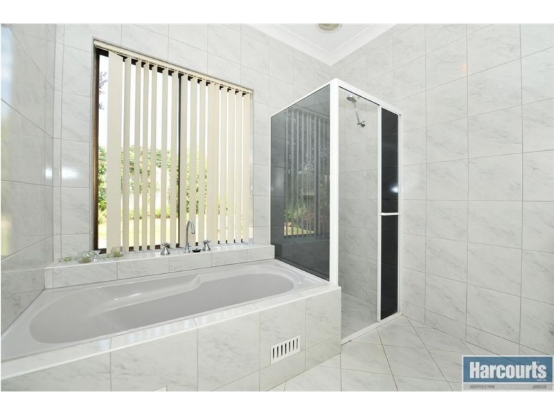 3 Monterey Pine Drive, Aberfoyle Park SA 5159