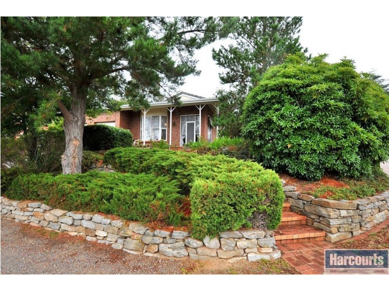41 Monterey Pine Drive, Aberfoyle Park SA 5159