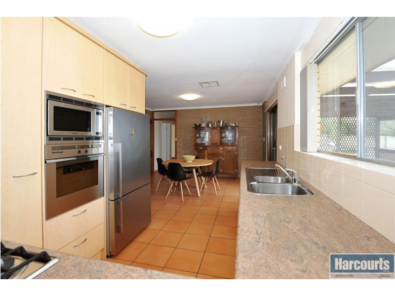 13 Birman Crescent, Flagstaff Hill SA 5159