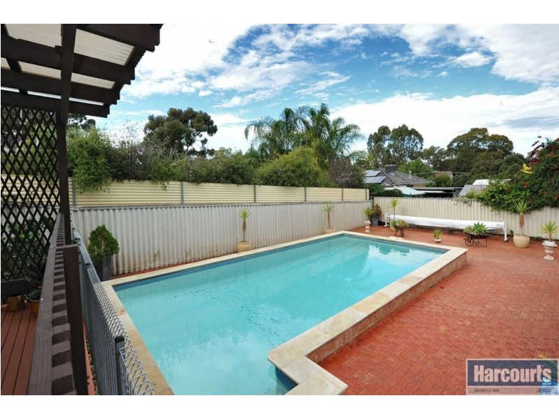 13 Birman Crescent, Flagstaff Hill SA 5159