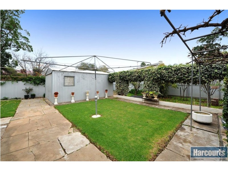 16 Clifton Street, Maylands SA 5069