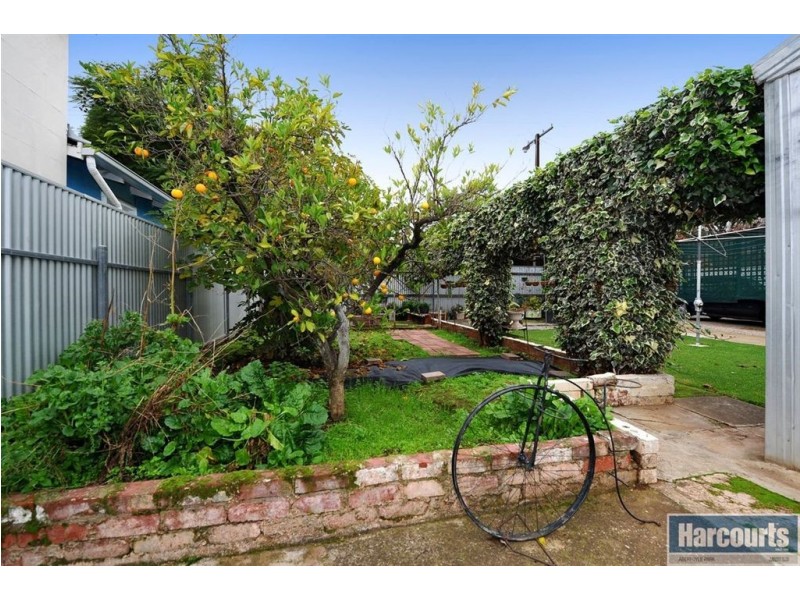 16 Clifton Street, Maylands SA 5069