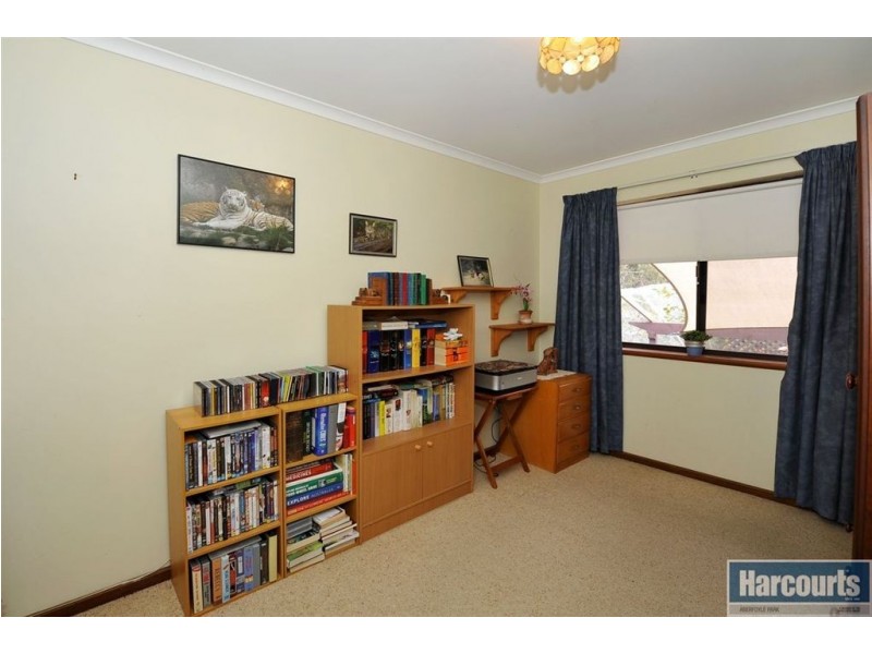 37 Antilla Way, Flagstaff Hill SA 5159