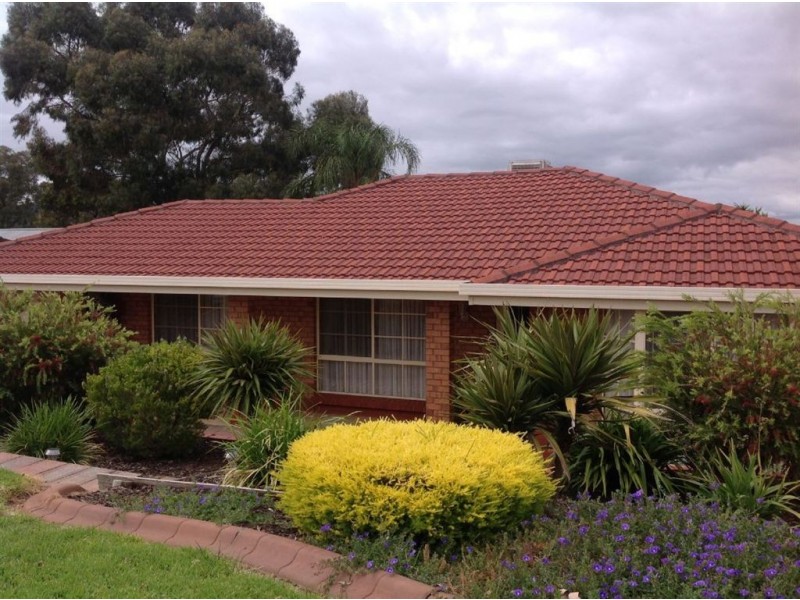 20 Dianne Street, Happy Valley SA 5159