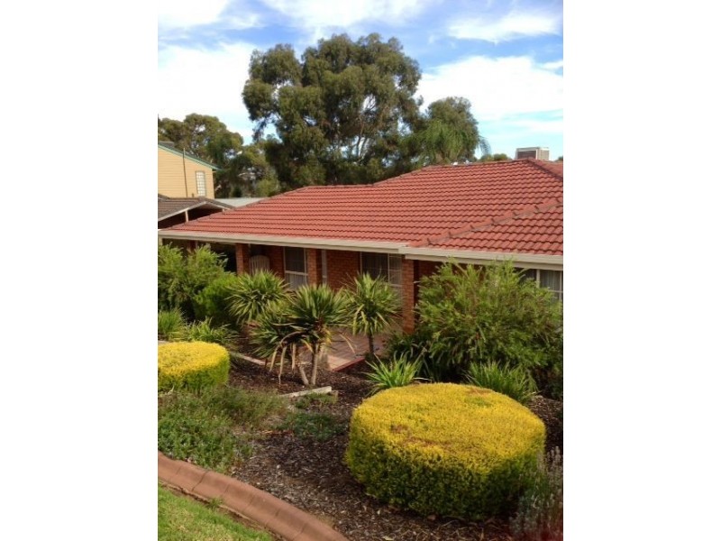 20 Dianne Street, Happy Valley SA 5159