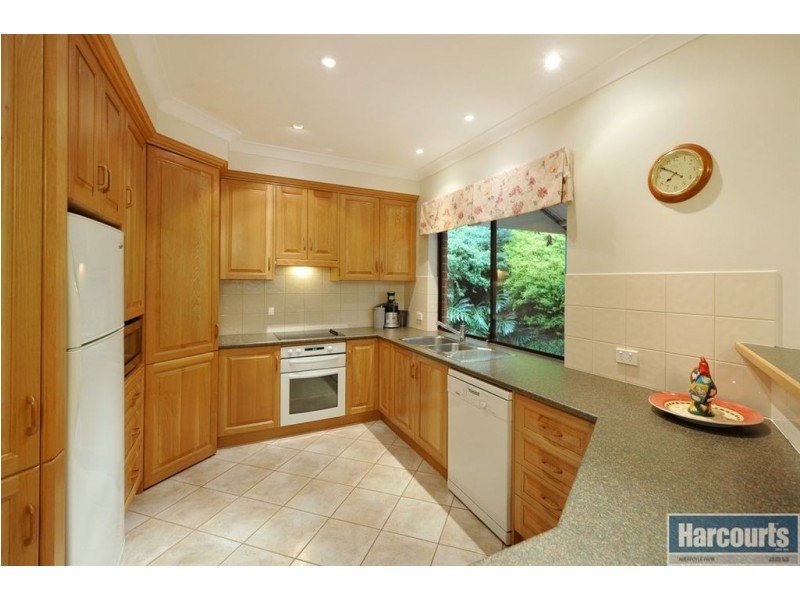 4 Coachwood Drive, Aberfoyle Park SA 5159