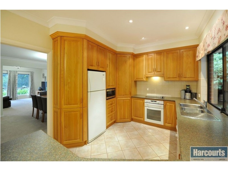 4 Coachwood Drive, Aberfoyle Park SA 5159