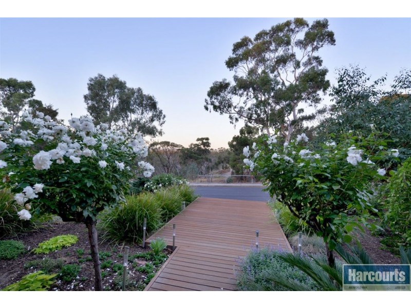 7 Lysander Place, Flagstaff Hill SA 5159