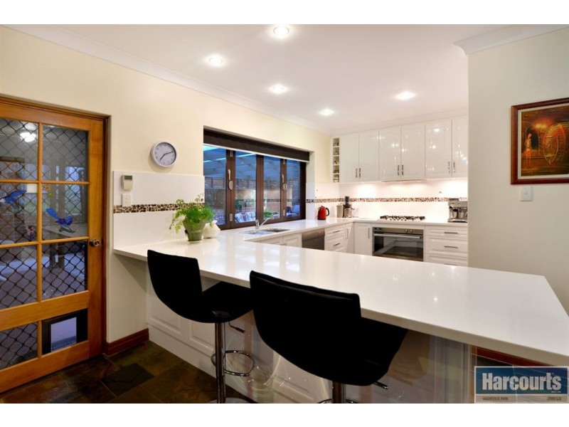 7 Lysander Place, Flagstaff Hill SA 5159