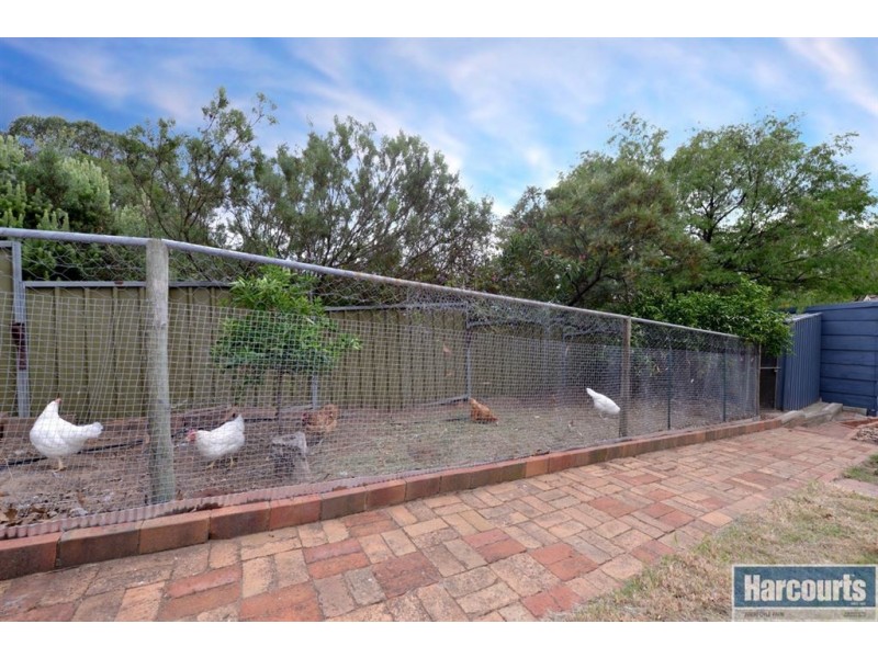 8 Redgum Place, Aberfoyle Park SA 5159