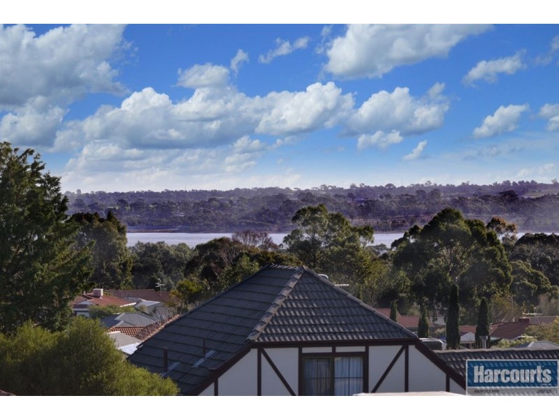 43 Springpark Circuit, Aberfoyle Park SA 5159
