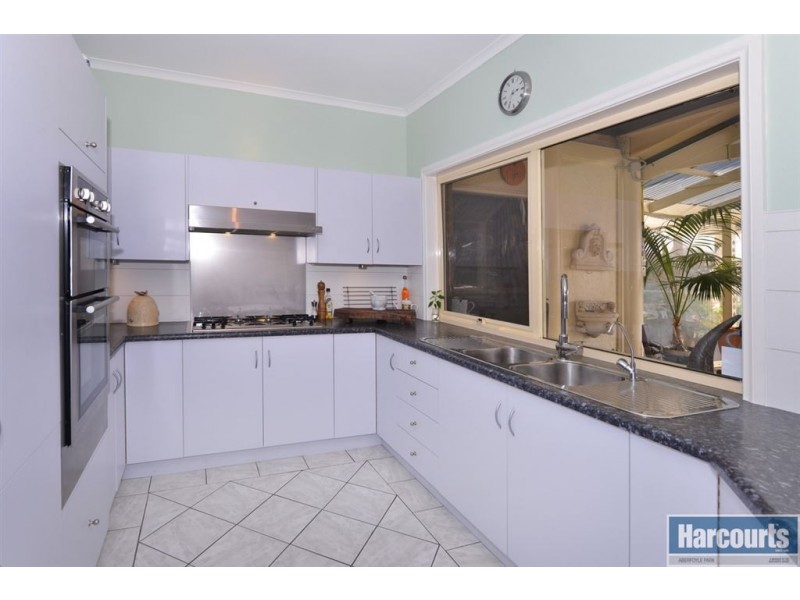 43 Springpark Circuit, Aberfoyle Park SA 5159