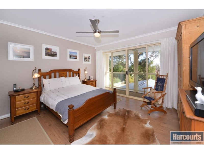 43 Springpark Circuit, Aberfoyle Park SA 5159