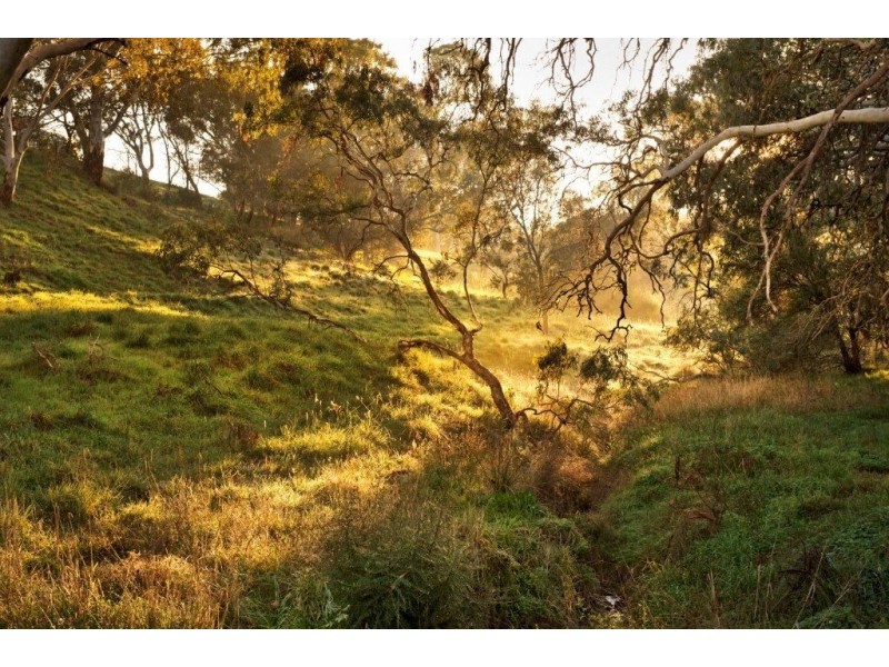 22 Highfield Drive, Craigburn Farm SA 5051