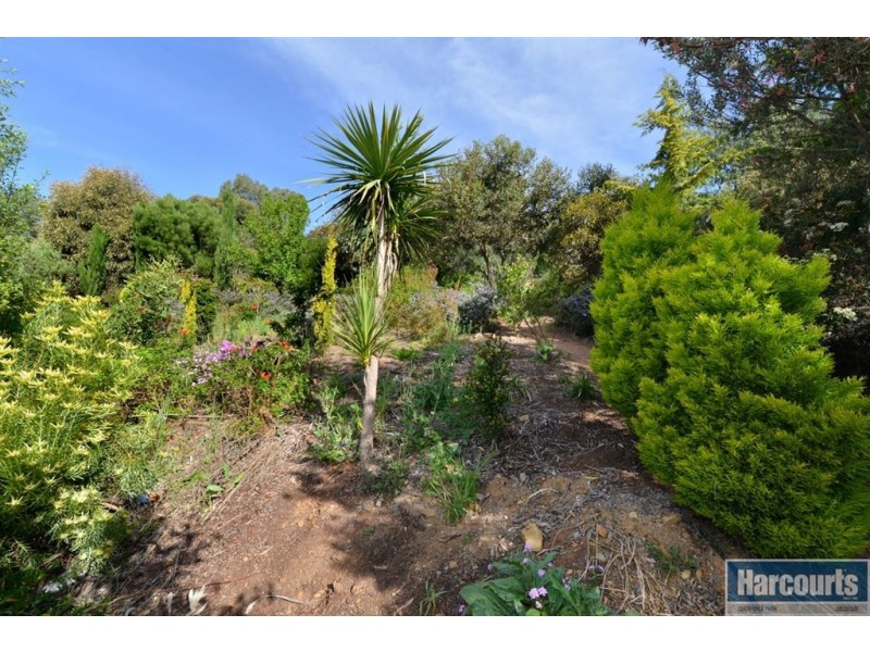 8 Peppermint Grove, Aberfoyle Park SA 5159