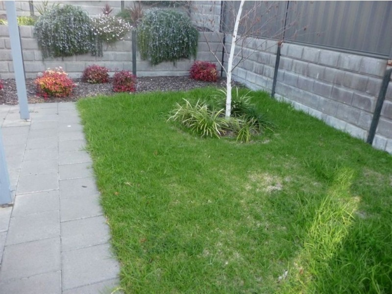 1 Plantation Avenue, Flagstaff Hill SA 5159