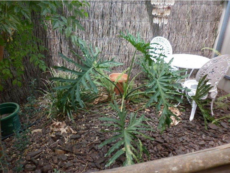 2/7 Kearnes Road, Oaklands Park SA 5046